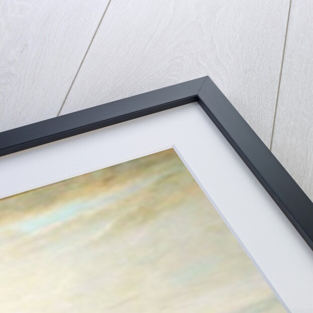 Archery Meeting in Bradgate Park, Leicestershire, 1850 by John E. Ferneley