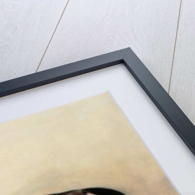 Study of a Saddled Bay Hunter, 1828 by John E. Ferneley