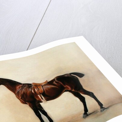 Study of a Saddled Bay Hunter, 1828 by John E. Ferneley
