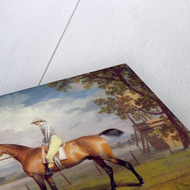 The Duke of Hamilton's Disguise with Jockey Up by George Garrard