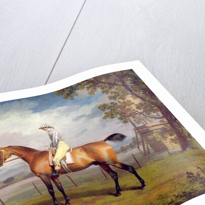 The Duke of Hamilton's Disguise with Jockey Up by George Garrard