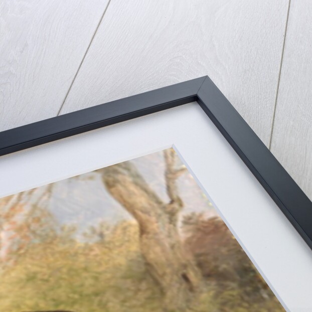 One of George Lane Fox's Winning Greyhounds: the Black and White Greyhound Bitch, Juno, also known as Elizabeth, 1822 by George Garrard