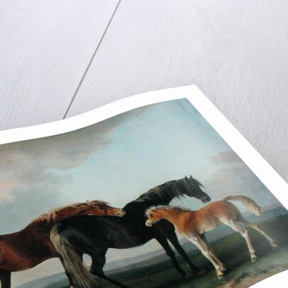 Mares and Foals by Sawrey Gilpin
