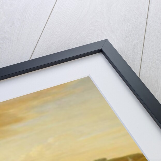 A View of Greenwich from the River with many Boats by Jan Griffier