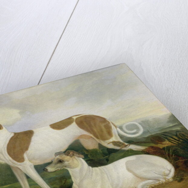 Two Greyhounds in a Landscape by Charles Hancock