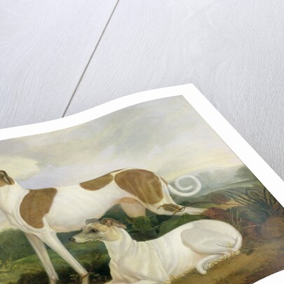 Two Greyhounds in a Landscape by Charles Hancock