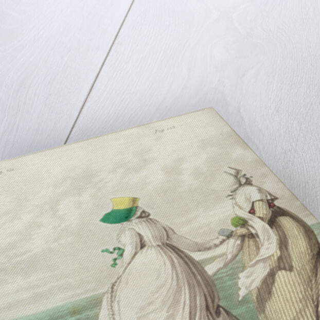 Bathing Place by Nicolaus von Heideloff