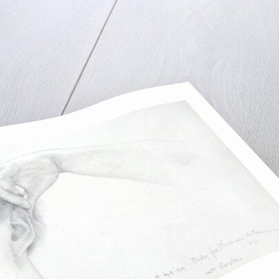 Study for 'Thermaie Antoniniane', 1899 by Lawrence Alma-Tadema