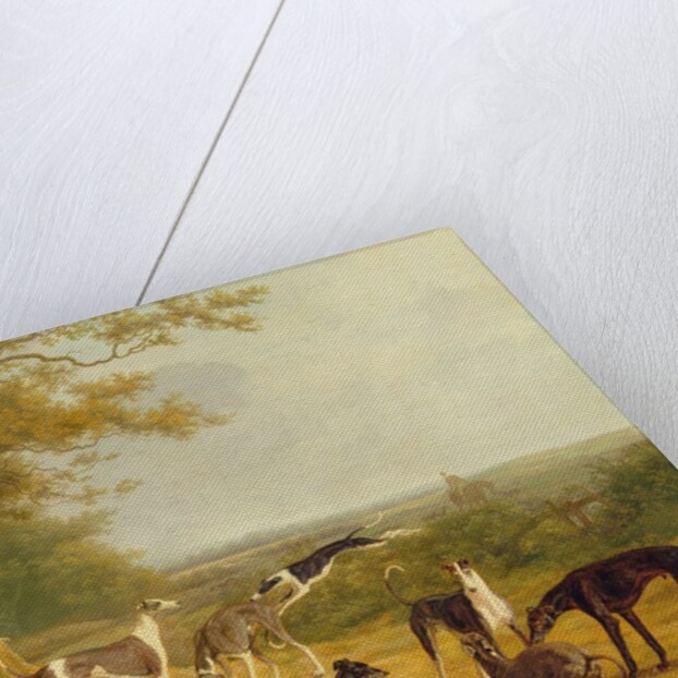 Nine Greyhounds in a Landscape by Jacques-Laurent Agasse