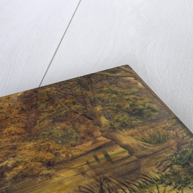 Back Water of the Bratford, 1864 by Edward W. Fitch