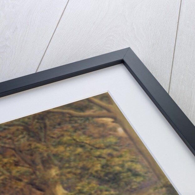 Back Water of the Bratford, 1864 by Edward W. Fitch