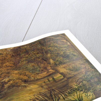 Back Water of the Bratford, 1864 by Edward W. Fitch