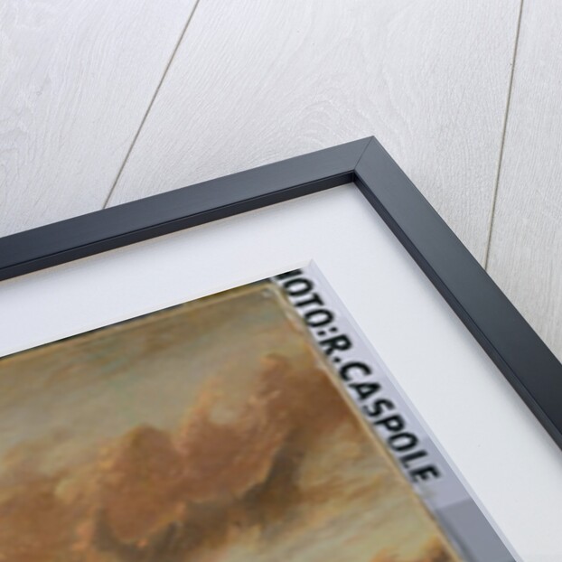 Shipwreck by Francis Danby