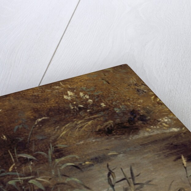 Rushes by a Pool, c.1821 by John Constable