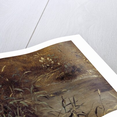 Rushes by a Pool, c.1821 by John Constable