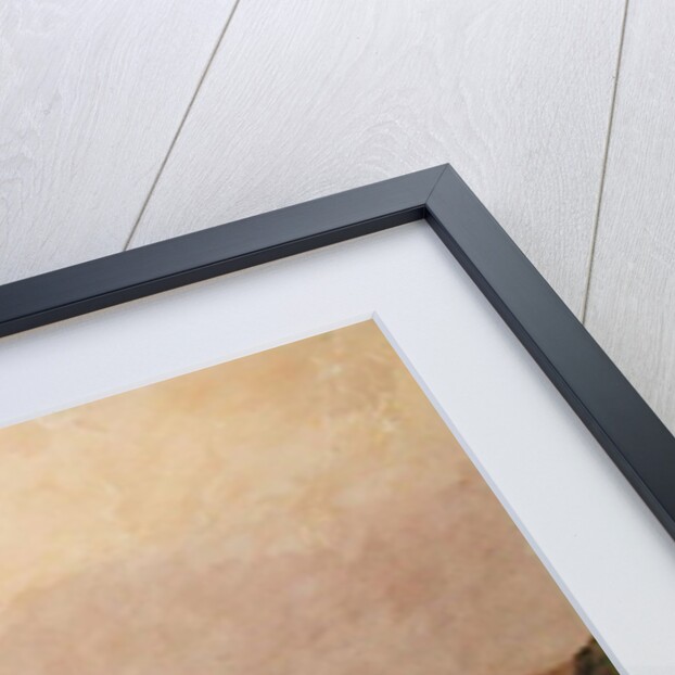 Calais Sands, 1831 by Francois Louis Thomas Francia