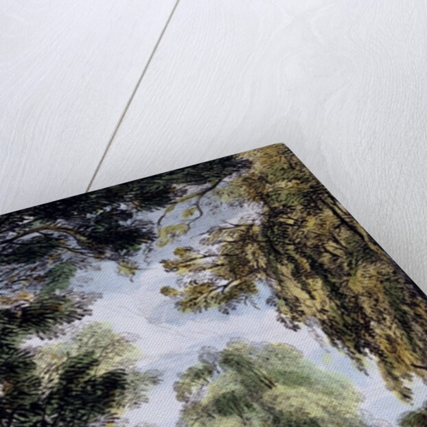 The Sister Trees, Kew Gardens by George Ernest Papendiek