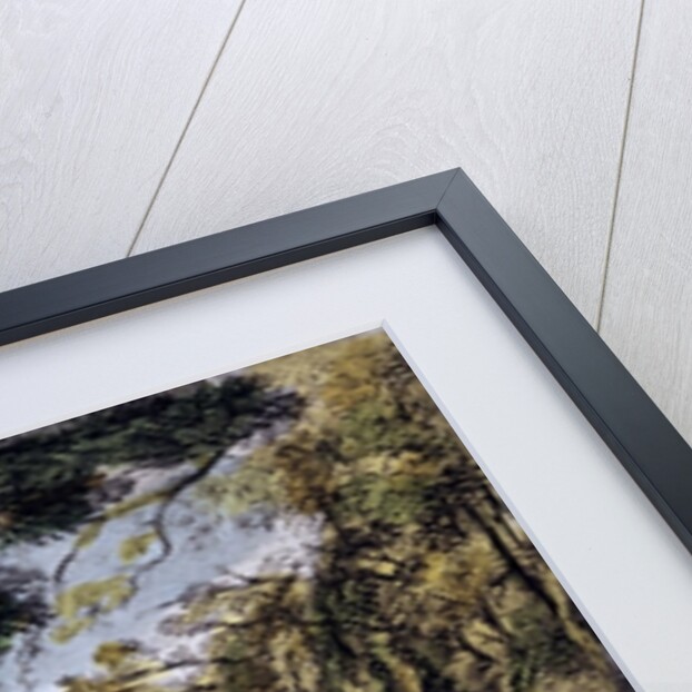 The Sister Trees, Kew Gardens by George Ernest Papendiek