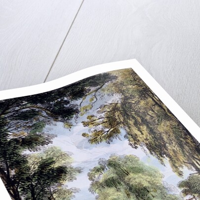 The Sister Trees, Kew Gardens by George Ernest Papendiek