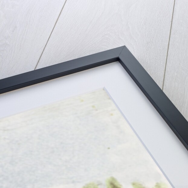 Orangery, Kew Gardens by George Ernest Papendiek