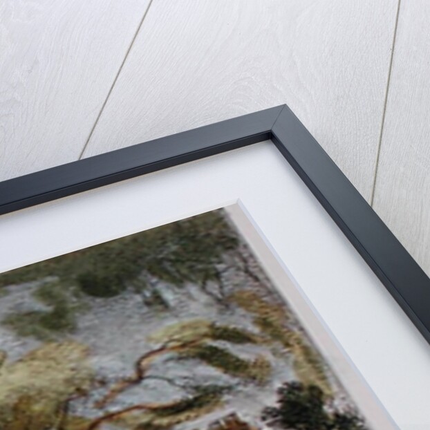 Entrance to the Cave, Richmond Gardens, plate 18 from 'Kew Gardens: A Series of Twenty-Four Drawings on Stone' by George Ernest (after) Papendiek