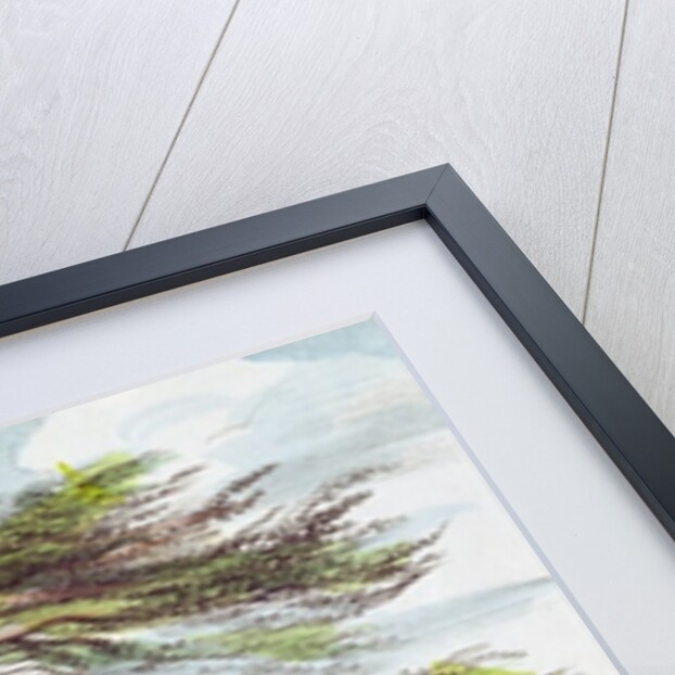 The Lebanon Cedar Tree in the Arboretum, Kew Gardens, plate 21 from 'Kew Gardens: A Series of Twenty-Four Drawings on Stone' by George Ernest (after) Papendiek