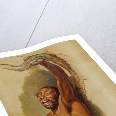 Man Struggling with a Boa Constrictor, Study for 'Liboya Serpent Seizing its Prey', c.1803 by James Ward