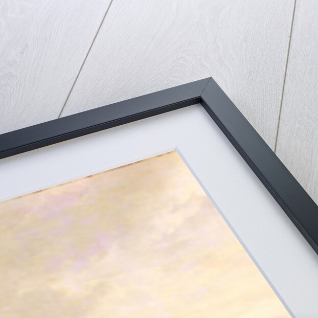 Pope's Villa, Twickenham, c.1765 by Joseph Nickolls