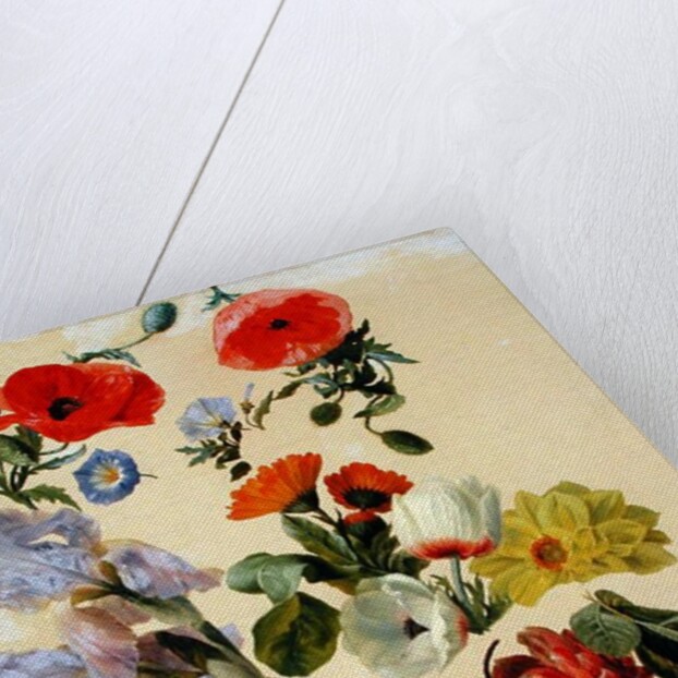 Studies of Summer Flowers by Jacques-Laurent Agasse