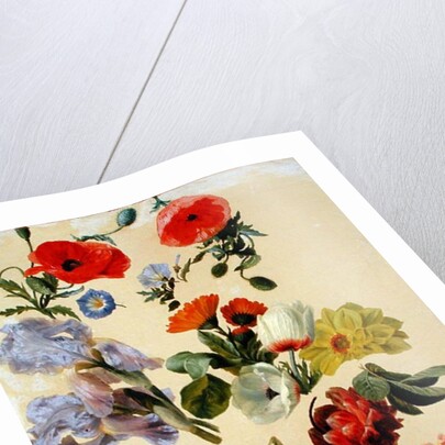 Studies of Summer Flowers by Jacques-Laurent Agasse