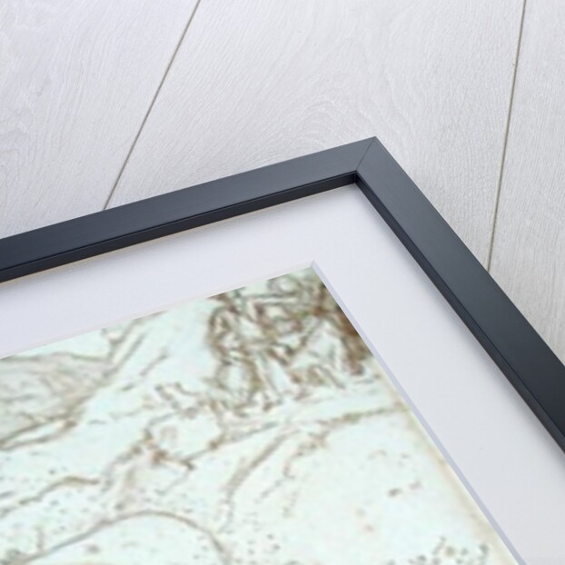 Awful Protection Against Midges, 1853 by John Everett Millais