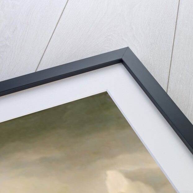 Shipwreck off a Rocky Coast by Thomas Buttersworth