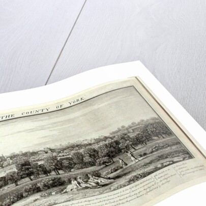 The South-East Prospect of Rippon, 1731-48 by Nathaniel and Samuel Buck