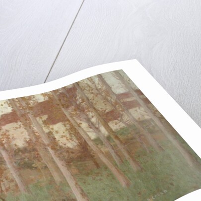 The Haunted Chateau, Grez-sur-Loing, 1896 by David Gauld