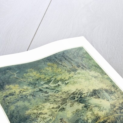 The Angler, 1794 by Joseph Mallord William Turner