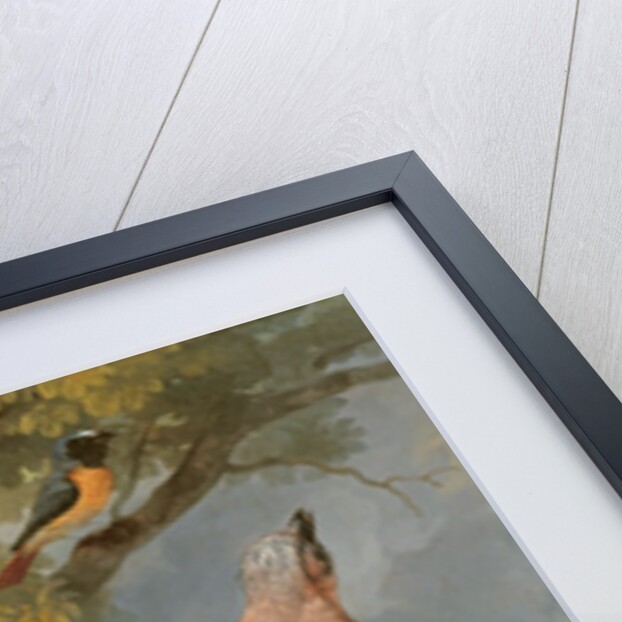 Jay, Green Woodpecker, Pigeons and Redstart, c.1650 by Francis Barlow