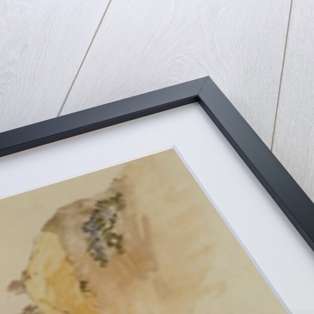 View near Palermo, 1847 by Edward Lear