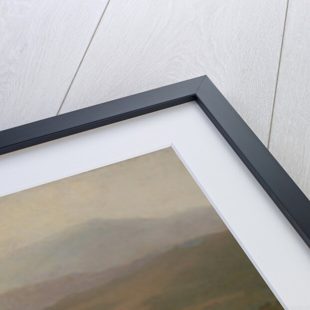 Vicunas, 1831 by Jacques-Laurent Agasse