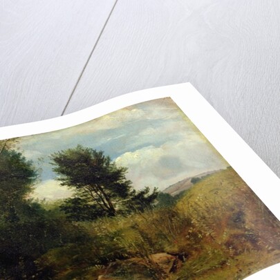 View on the River Sid, near Sidmouth, c.1852 by Lionel Constable