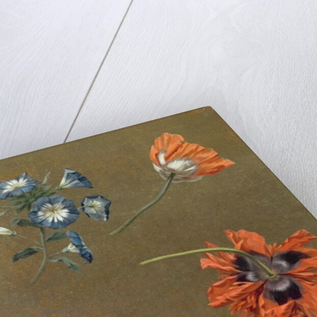 Poppies and Tradascanthus by Swiss School