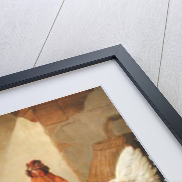 Domestic Cock, Hens and Chicks, 1655 by Francis Barlow