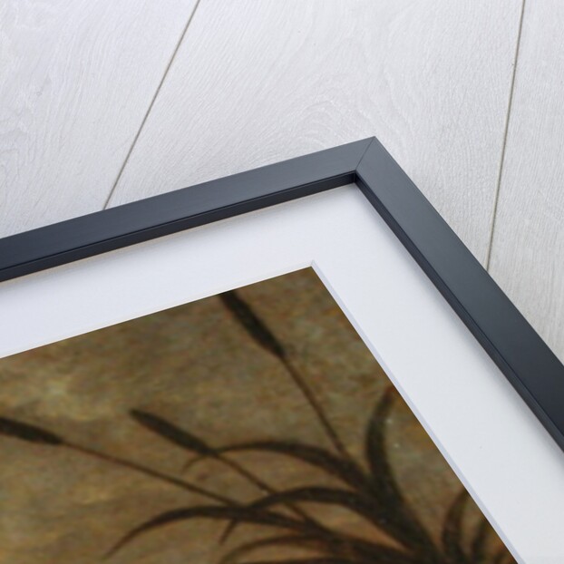 Woodcock at Dusk, c.1676 by Francis Barlow