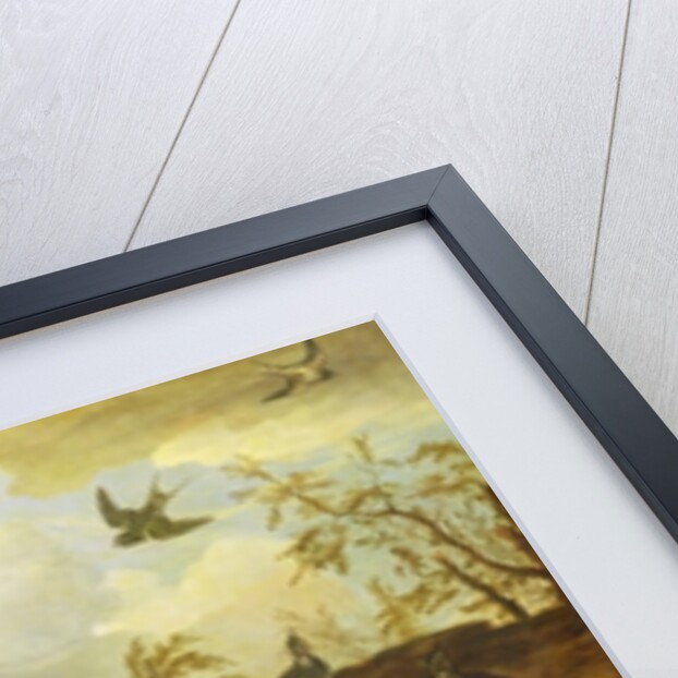 Ducks and other birds about a stream in an Italianate landscape, 1671 by Francis Barlow