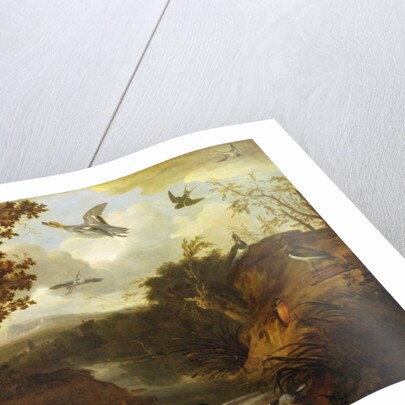 Ducks and other birds about a stream in an Italianate landscape, 1671 by Francis Barlow