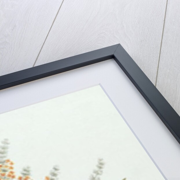 Umtar by James (1730-94) Bruce