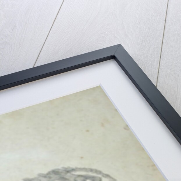 Lateral View of a Tiger Skeleton by George Stubbs