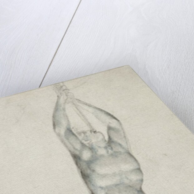 An Angel with a Trumpet, 1805-08 by William Blake