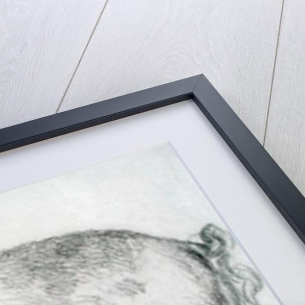 Hereford Boar, c.1803-04 by James Ward