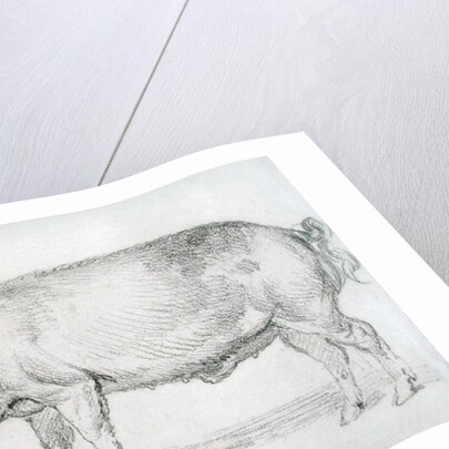 Hereford Boar, c.1803-04 by James Ward