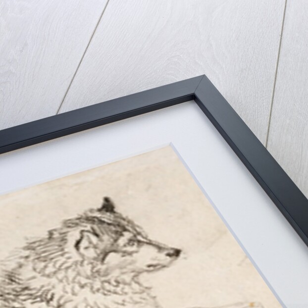 Arctic Dog, Facing Right by James Ward